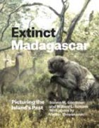 Extinct Madagascar - Picturing the Island´s Past