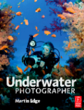The underwater photographer