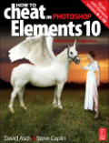 How to cheat in Photoshop elements 10: the magic of digital illustration