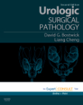 Urologic surgical pathology: expert consult