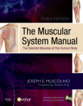 The muscular system manual: the skeletal muscles of the human body