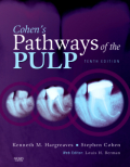 Cohen's pathways of the pulp expert consult