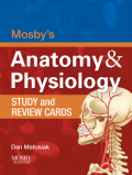 Mosby's anatomy and physiology study and review cards