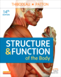 Structure & function of the body