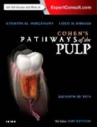 Cohens Pathways of the Pulp Expert Consult