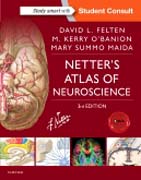 Netters Atlas of Neuroscience