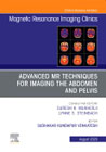 Advanced MR Techniques for Imaging the Abdomen and Pelvis, An Issue of Magnetic Resonance Imaging Clinics of North America