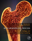 Bone Remodelling Process: From Biology to Mechanobiological Modelling