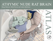 Athymic Nude Rat Brain Atlas