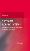 Substance abusing inmates: experiences of recovering drug addicts on their way back home