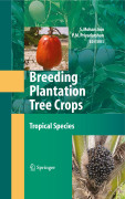 Breeding plantation tree crops: tropical species
