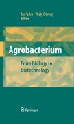 Agrobacterium: from biology to biotechnology
