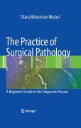 The practice of surgical pathology: a beginner's guide to the diagnostic process