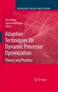 Adaptive techniques for dynamic processor optimization: theory and practice