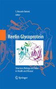 Reelin glycoprotein: structure, biology and roles in health and disease
