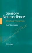 Sensory neuroscience: four laws of psychophysics