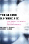 The Second Machine Age - Work, Progress, and Prosperity in a Time of Brilliant Technologies