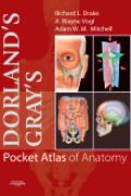 Dorland's/Gray's pocket atlas of anatomy