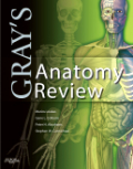 Gray's anatomy review