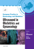 Ultrasound in obstetrics and gynaecology