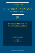 Numerical methods for non-Newtonian fluids: special volume