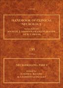 Neuroimaging Part I: Handbook of Clinical Neurology (Series Editors: Aminoff, Boller, Swaab)