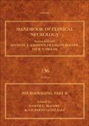 Neuroimaging Part 2: Handbook of Clinical Neurology (Series Editors: Aminoff, Boller, Swaab)