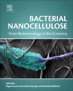 Bacterial Nanocellulose: From Biotechnology to Bio-Economy