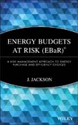 Energy budgets at risk (EBaR): a risk management approach to energy purchase and efficiency choices