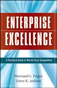 Enterprise excellence: a practical guide to world class competition