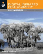 Digital infrared photography
