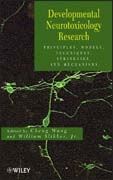 Developmental neurotoxicology research: principles, models, techniques, strategies, and mechanisms