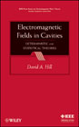 Electromagnetic fields in cavities: deterministic and statistical theories