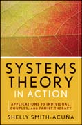 Systems theory in action: applications to individual, couple, and family therapy