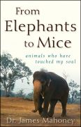 From elephants to mice: animals who have touched my soul
