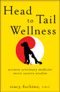 Head to tail wellness: western veterinary medicine meets eastern wisdom
