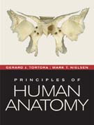 Principles of human anatomy