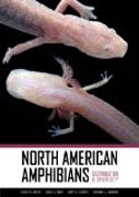 North American Amphibians - Distribution and Diversity