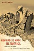 How Race Is Made in America - Immigration, Citizenship, and the Historical Power of Racial Scripts