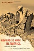 How Race Is Made in America - Immigration, Citizenship, and the Historical Power of Racial Scripts