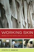 Working Skin - Making Leather, Making a Multicultural Japan