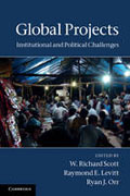 Global projects: institutional and political challenges