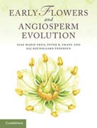 The early flowers and angiosperm evolution