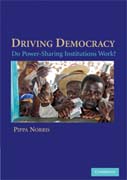 Driving democracy: do power sharing institutions work?