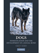Dogs: domestication and the development of a social bond