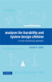 Analyses for durability and system design lifetime: a multidisciplinary approach