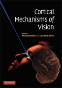 Cortical mechanisms of vision