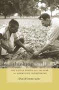 Thinking Small - The United States and the Lure of Community Development