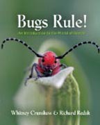 Bugs Rule! - An Introduction to the World of Insects