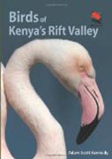 Birds of Kenya´s Rift Valley